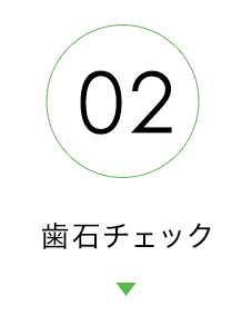 歯石チェック